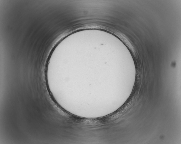 X0000116880805201001121321