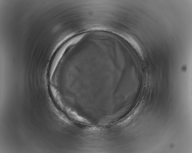 X0000116880806201001121321