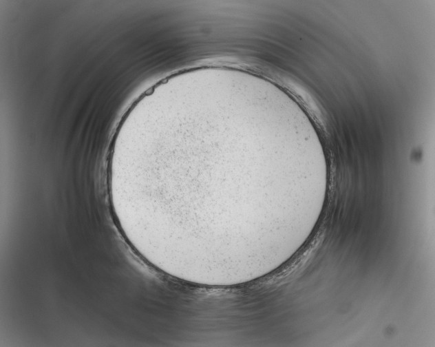 X0000116880808201001121321