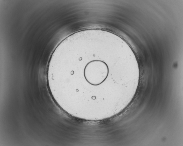 X0000116880810201001121321