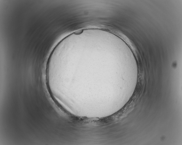 X0000116880811201001121321