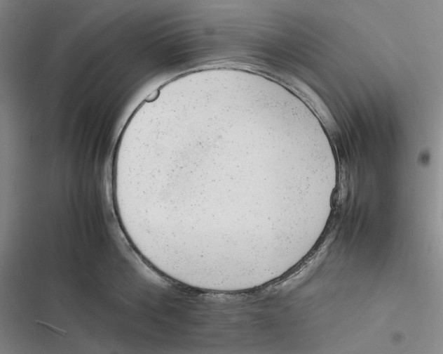 X0000116880812201001121321