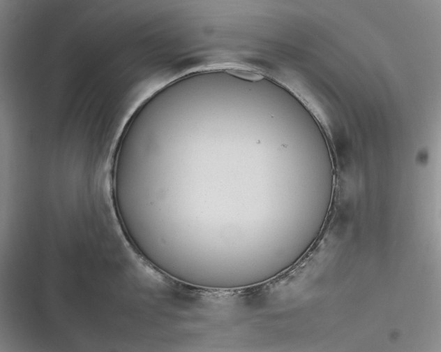 X0000116880813201001121321
