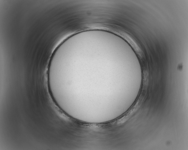 X0000116880814201001121321
