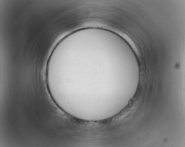 X0000116880815201001121321