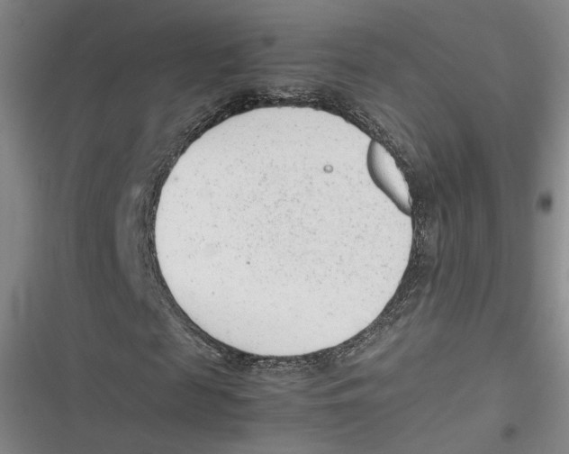 X0000116880817201001121320