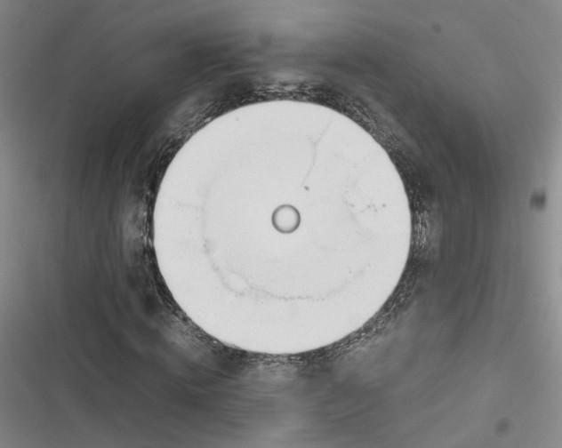 X0000116880820201001121320