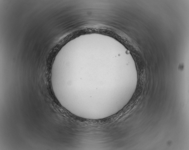 X0000116880822201001121320