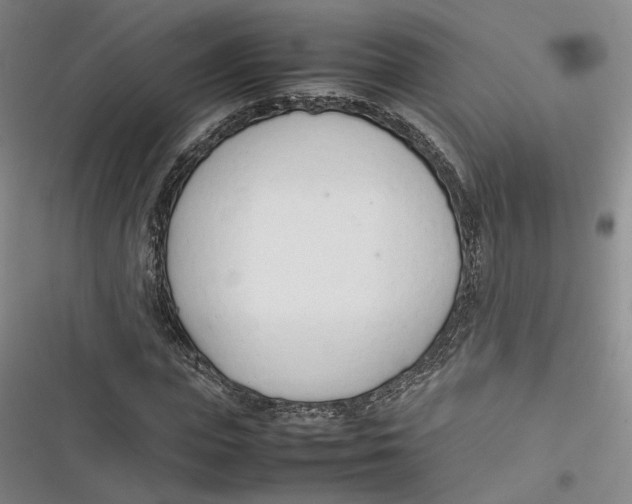 X0000116880823201001121320