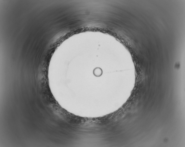 X0000116880824201001121320