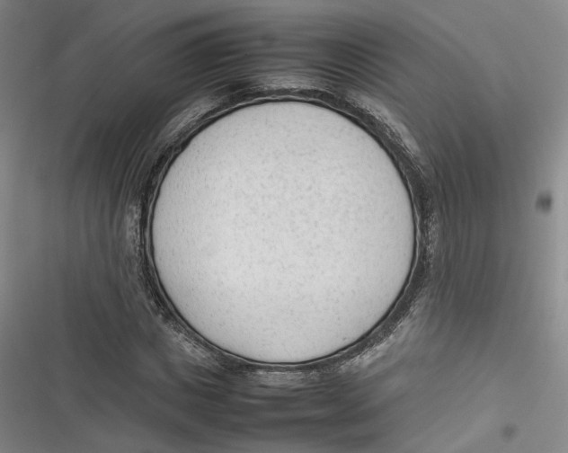 X0000116880825201001121321