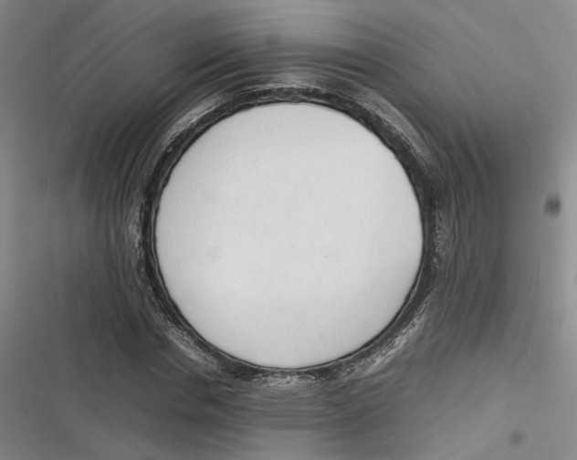 X0000116880826201001121321
