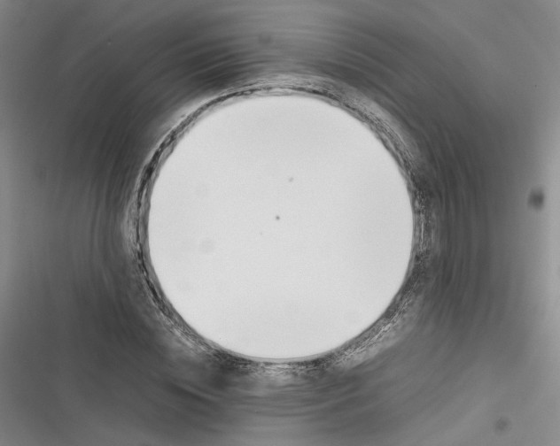 X0000116880828201001121321