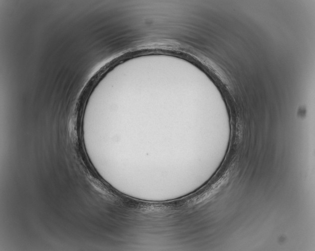 X0000116880830201001121321