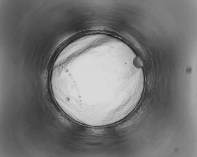 X0000116880831201001121321