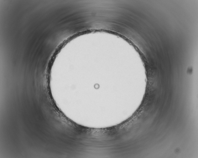 X0000116880832201001121321
