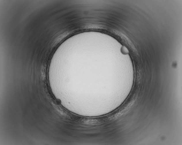 X0000116880833201001121321