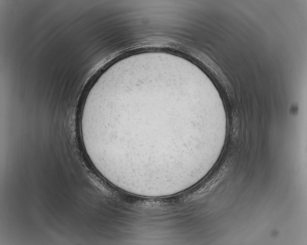 X0000116880834201001121321