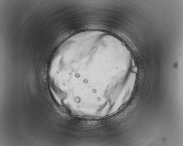 X0000116880841201001121321