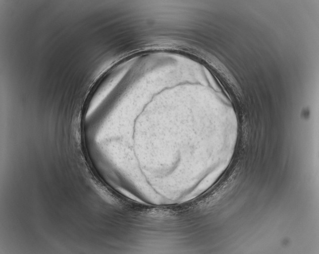 X0000116880842201001121321