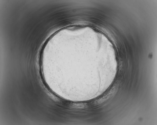 X0000116880843201001121321