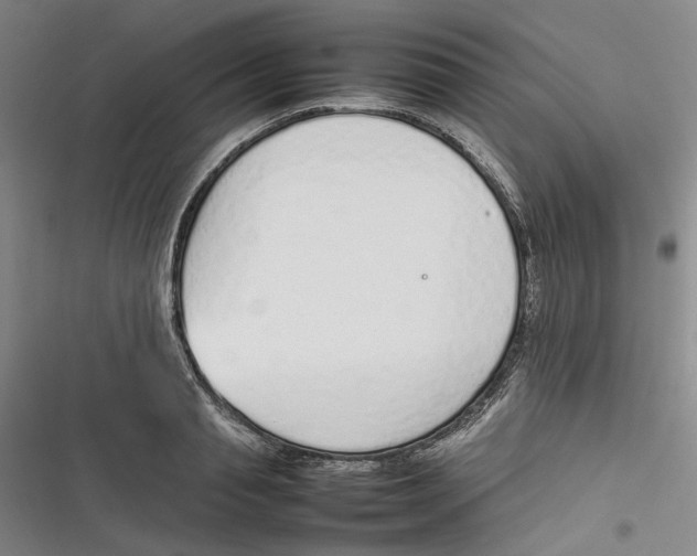 X0000116880845201001121321