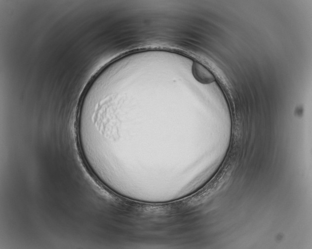 X0000116880847201001121321