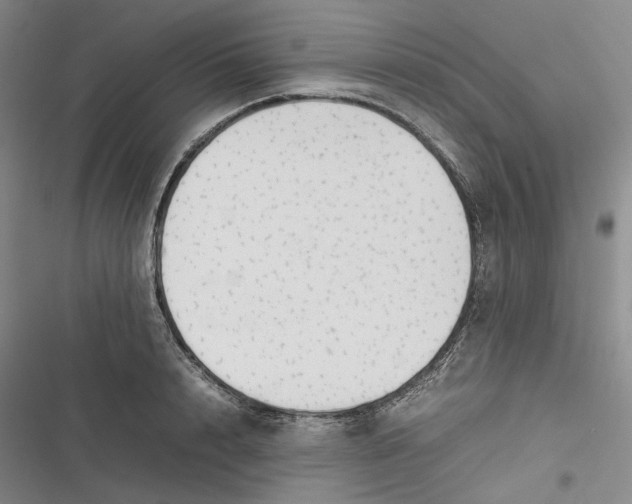 X0000116880848201001121321