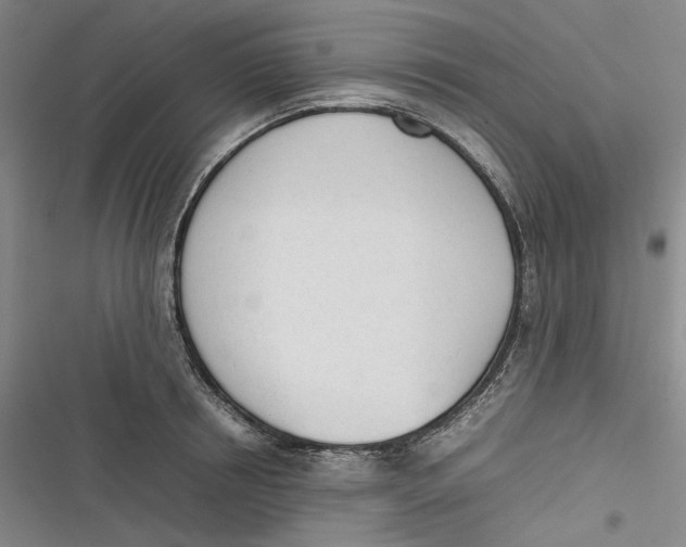 X0000116880850201001121321