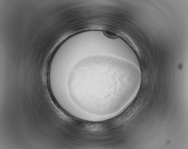 X0000116880851201001121321