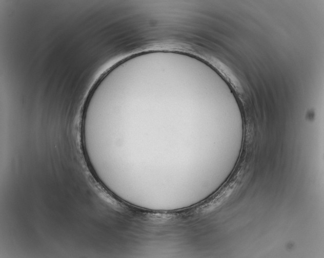X0000116880854201001121321