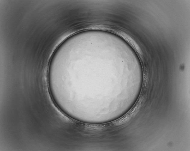X0000116880855201001121321