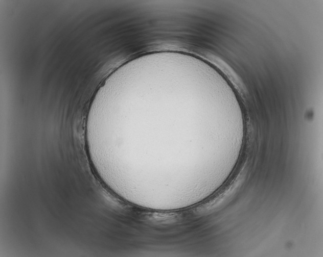 X0000116880857201001121321