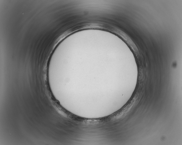X0000116880858201001121321