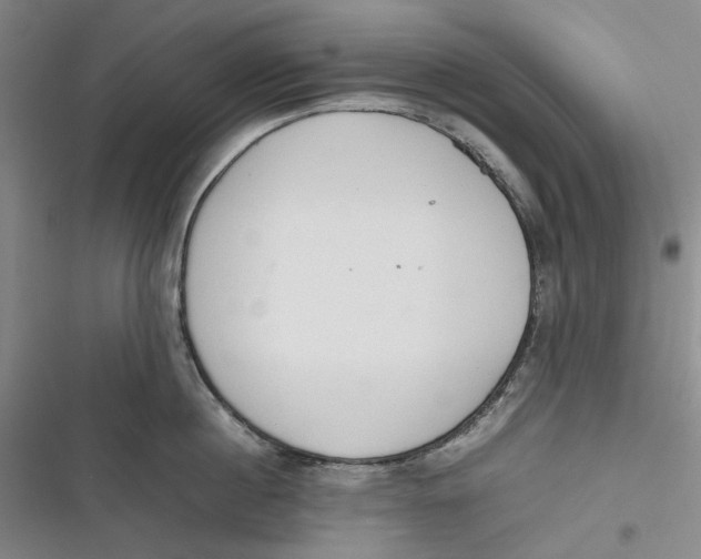 X0000116880860201001121321