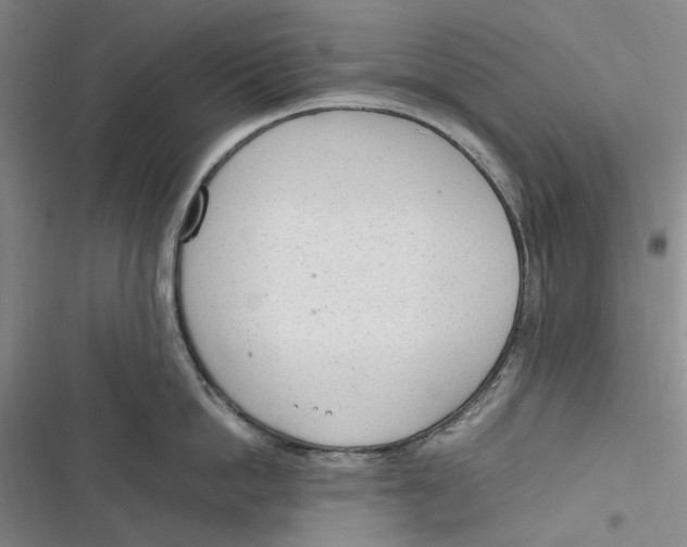 X0000116880862201001121321