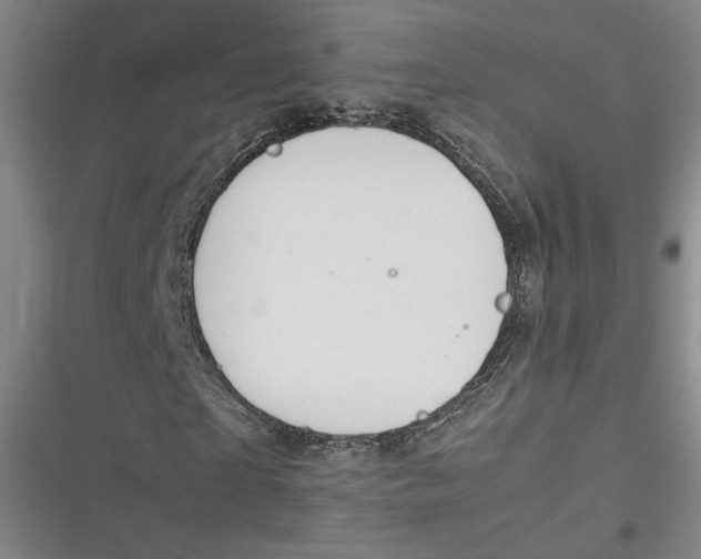 X0000116880865201001121320