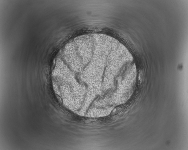 X0000116880867201001121320