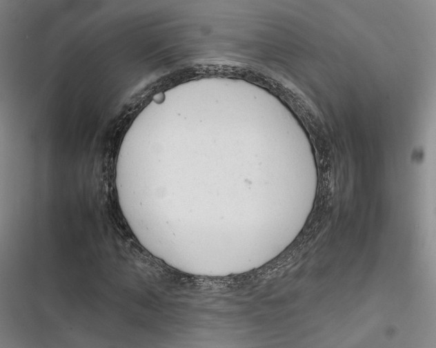 X0000116880870201001121320