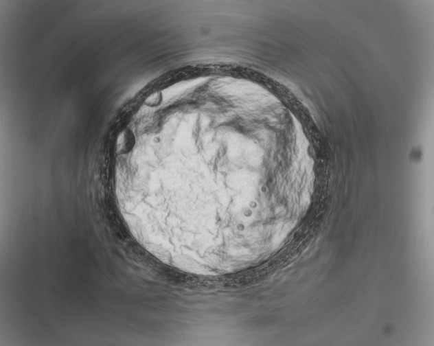 X0000116880871201001121320