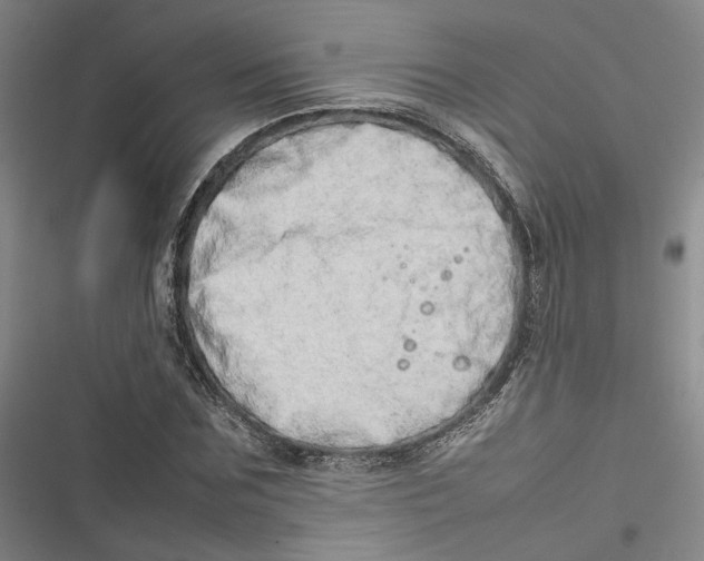 X0000116880875201001121320