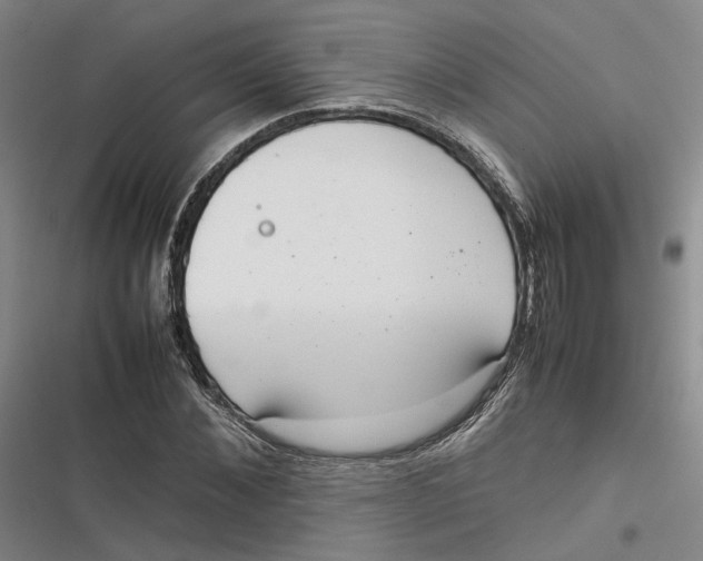 X0000116880876201001121320
