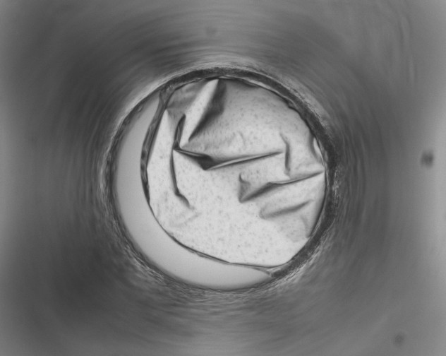 X0000116880877201001121320