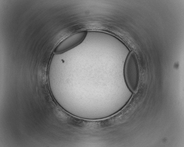 X0000116880889201001121320