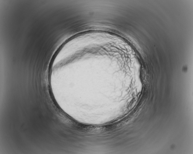 X0000116880891201001121320