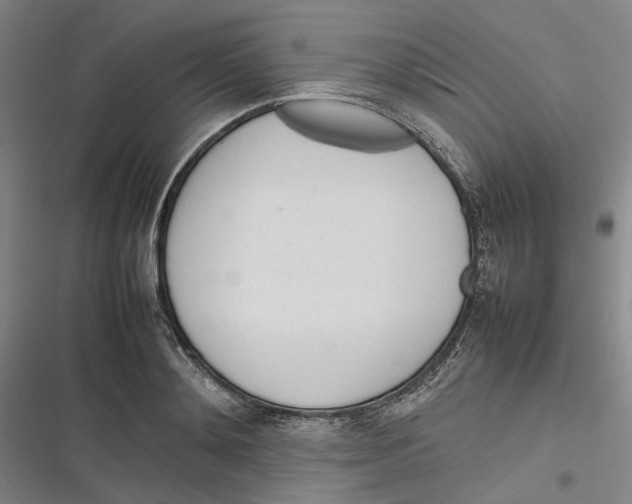 X0000116880892201001121320