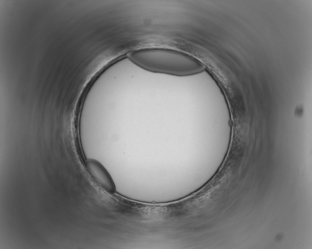 X0000116880893201001121320