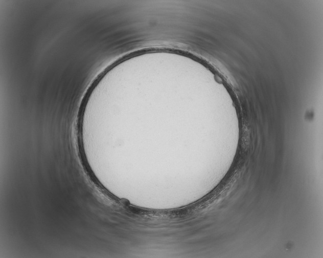 X0000116880895201001121320