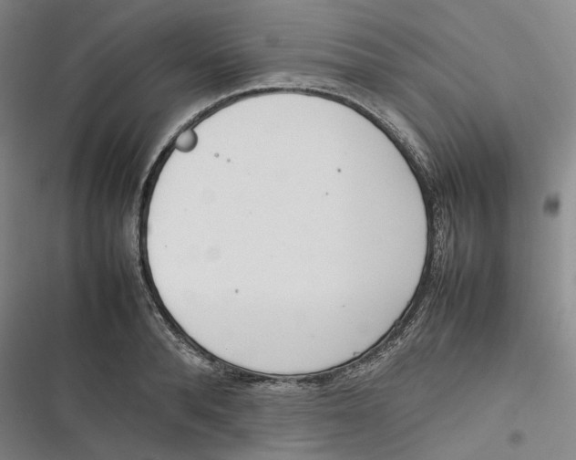 X0000116880896201001121320