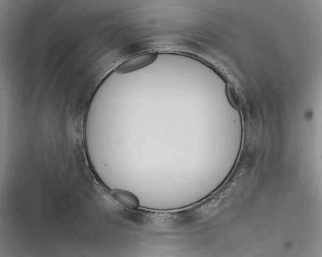 X0000116880897201001121320